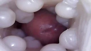 Gay Porn 2