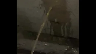 Pissing in a public basement